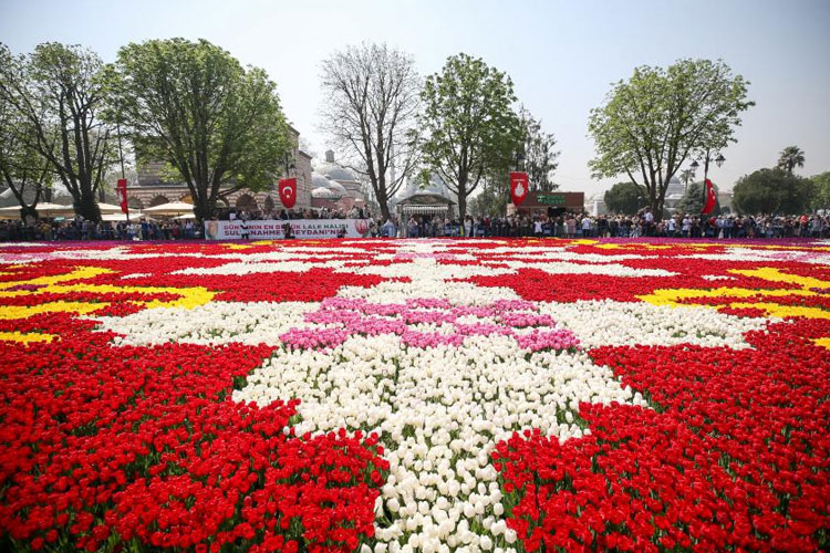 Festival del Tulipán en Estambul