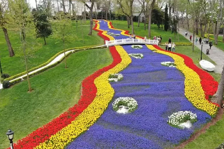 el festival del tulipán