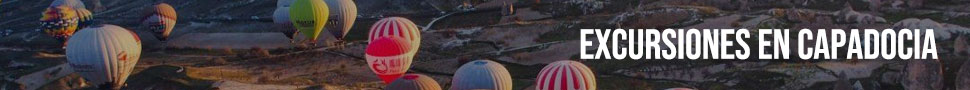 spot_img